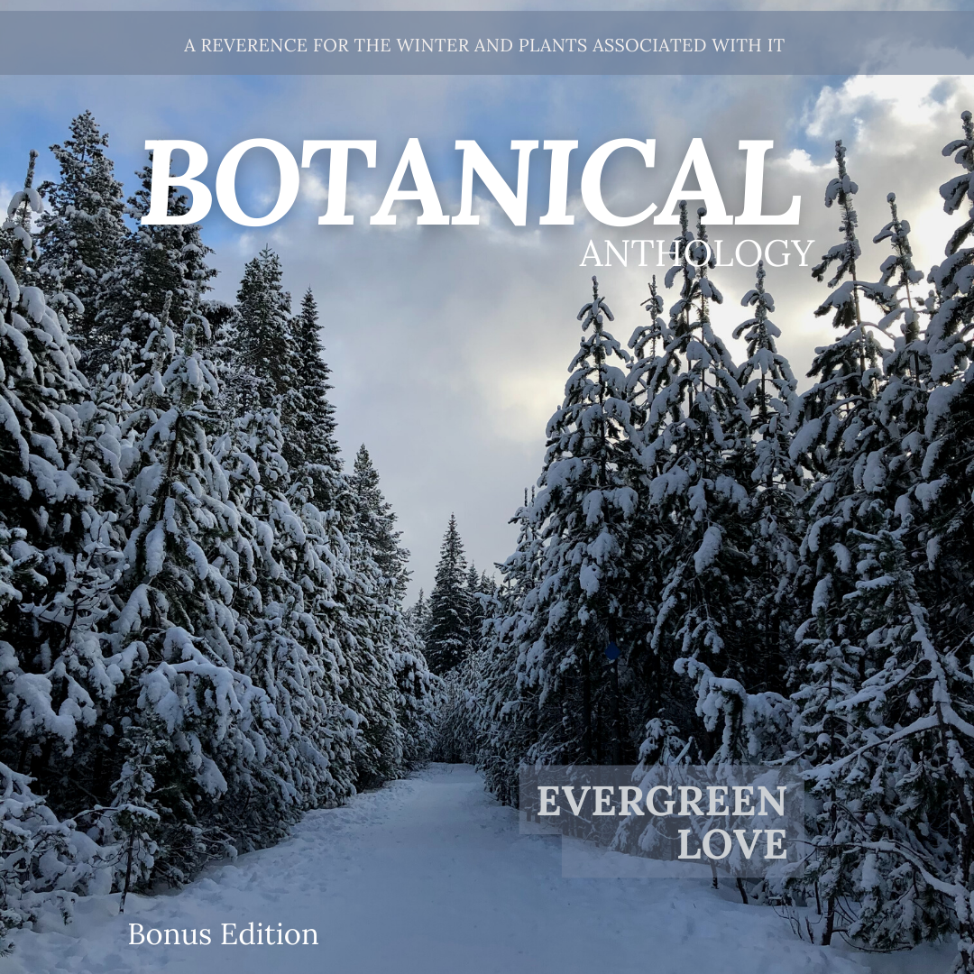 Botanical Anthology: Winter Vol 1 | Issue 3 | 2022 (Digital) + Info for Print Version