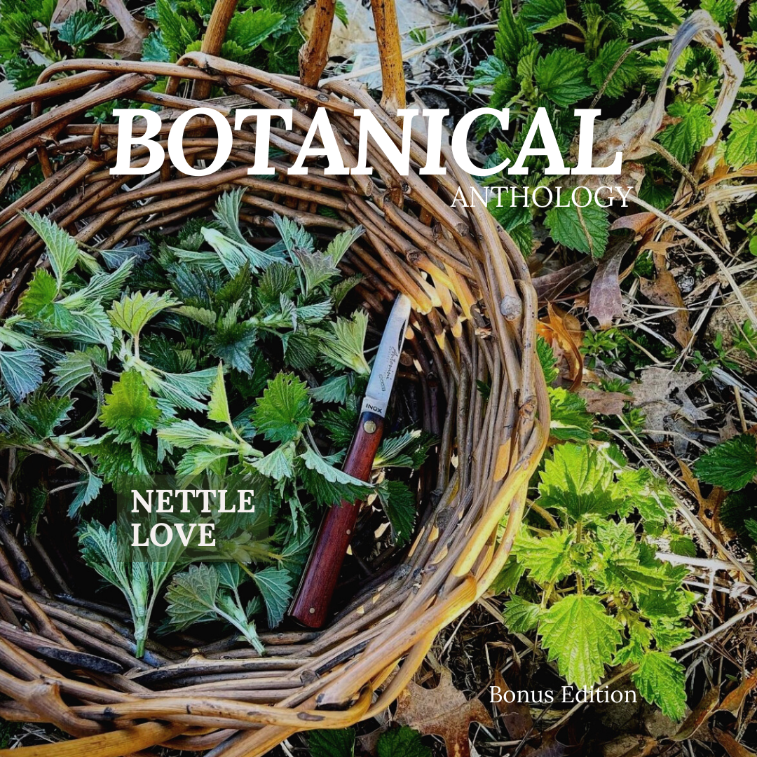 All About Nettle Booklet