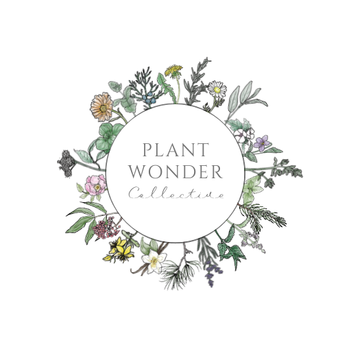 Gift Cards Plant Wonder Collective