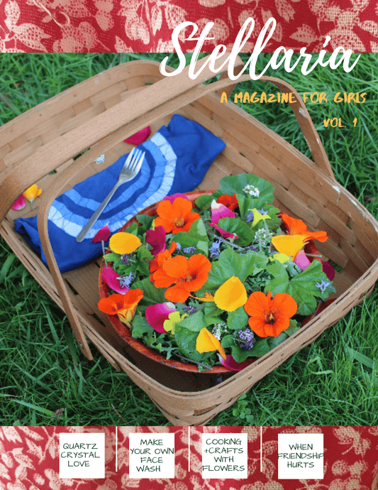 Stellaria Magazine, Volume I by Mother Hestia